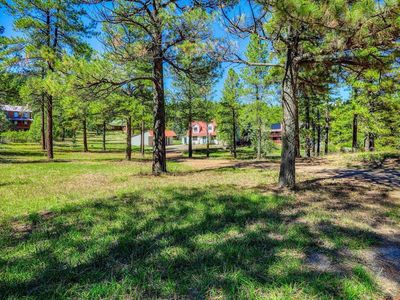 224 Rainbow Drive