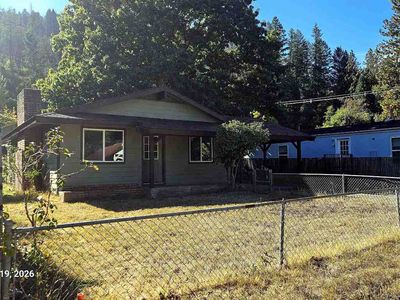 533 Live Oak Dr