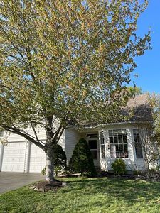 15 Glory Ct