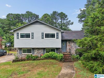 428 Wilderness Rd