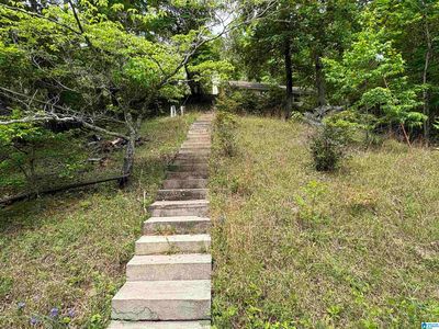 3632 County Road 472