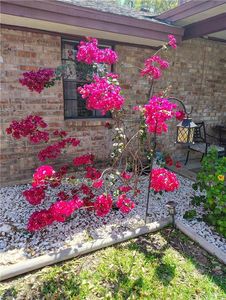 Property at 2307 N Mayberry Rd, Mission, TX
