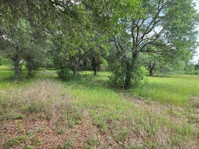 1238 E Fm 1093 Rd