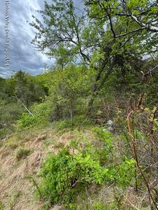 Property at 670 Vedder Mountain Road, Catskill, NY