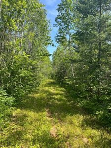 Property at 1961 Town Rd #118, Birchdale, MN