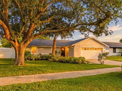 239 Myrtle Ct