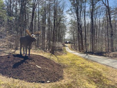 36 Old French Mill Road