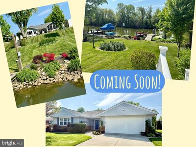 24 Neptune Dr