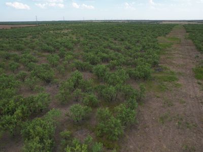 Property at 75/AC SE Highway 6, Lueders, TX