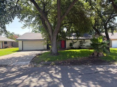 3911 Dolphin Ln