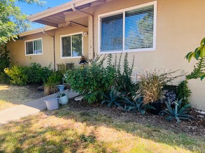 7529-7529 Skelton Way