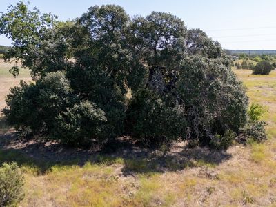 Property at Fm 203, Walnut Springs, TX