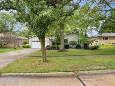 25 Squires Ct