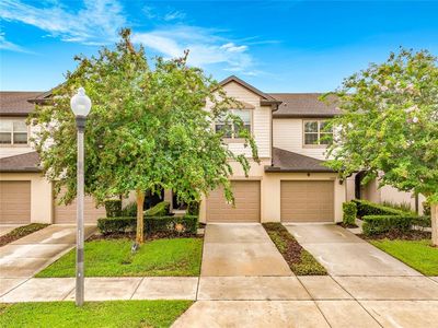 1084 Pavia Dr
