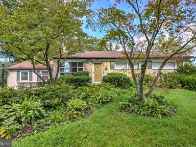 115 Buckwalter Rd