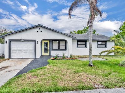 109 Scott Dr