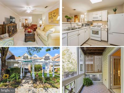 300 Canterbury Rd APT B