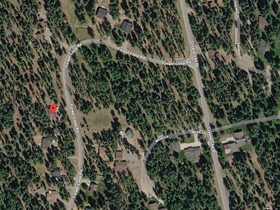 321 Forest Loop