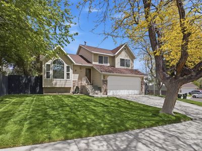 1380 Suncrest Ct