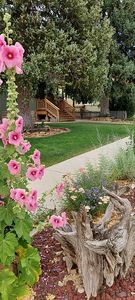 520 S 9th St #813815817