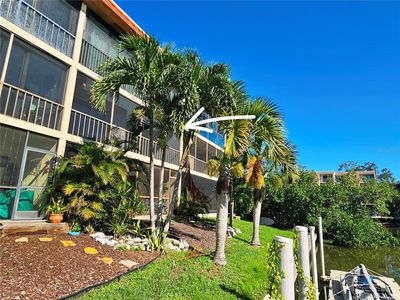 1650 PINE TREE LANE #204