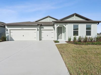 Merlot Plan, Riverwood