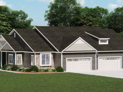 The Caroline Plan, Vista Run