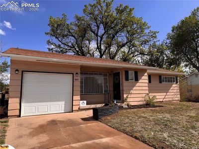 1804 Lark Bunting Ln