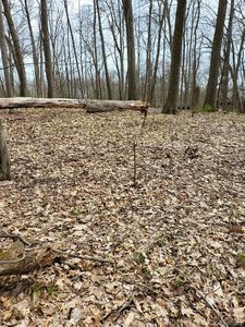 Property at 0 Duana Dr, Milford, MI