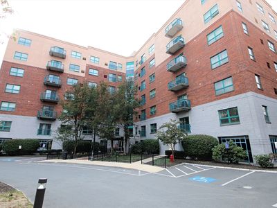 175 Cottage St APT 501