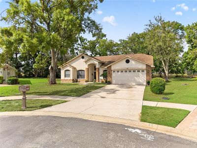 1131 Wedge Way