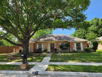1201 Dandelion Dr