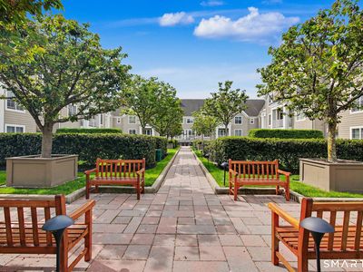77 Havemeyer Lane #324