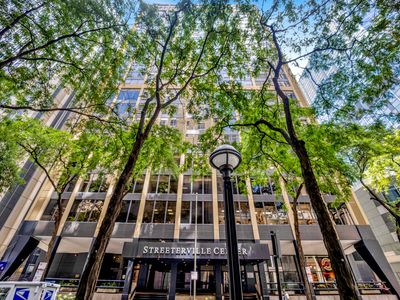 233 E Erie St APT 1703