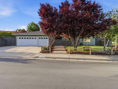 6553 Whitbourne Dr