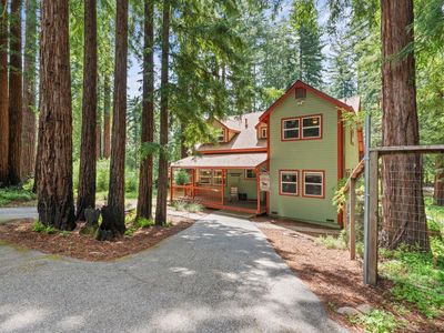 266 Coffeeberry Dr