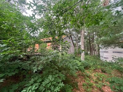 51 Cypress St