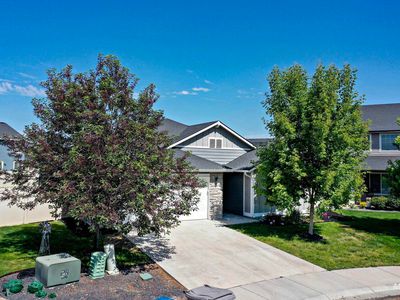 15567 Shorebird Pl