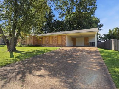5697 Tulip Tree Dr