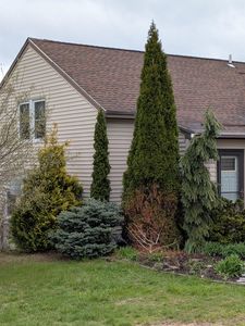 Property at 57 Dustin Homestead, Rochester, NH
