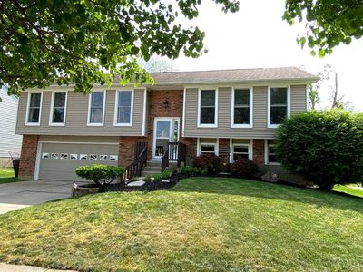 158 Country View Dr