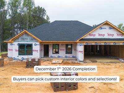 303 Millie Ct