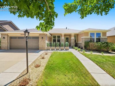 10166 Pine Glade Dr