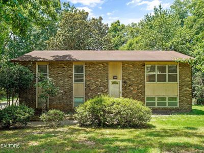 2309 Black Bear Rd