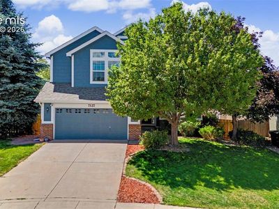 7127 Cowgirl Way