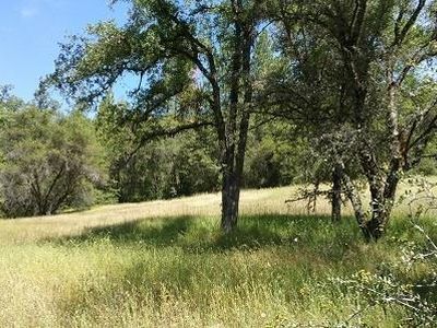 Property at 19055 Cedar Pines Dr, Fiddletown, CA