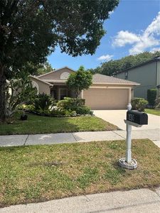 649 Buckingham Dr