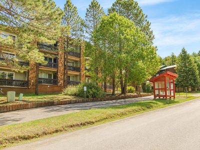 16 Jackson Hole #206