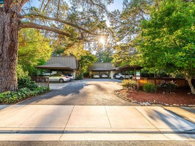 917 Hough Ave APT 9