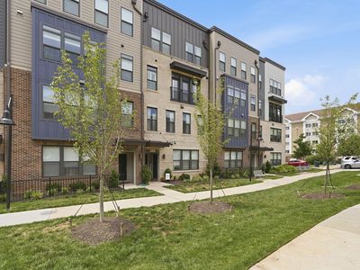 1702 Bandit Loop Unit 19B